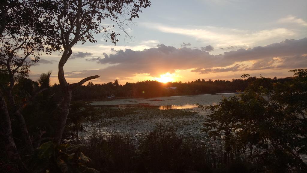 מלון אנוראדפורה Heritage Lake View מראה חיצוני תמונה